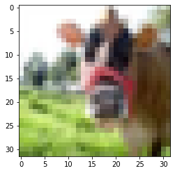 resnet_cow
